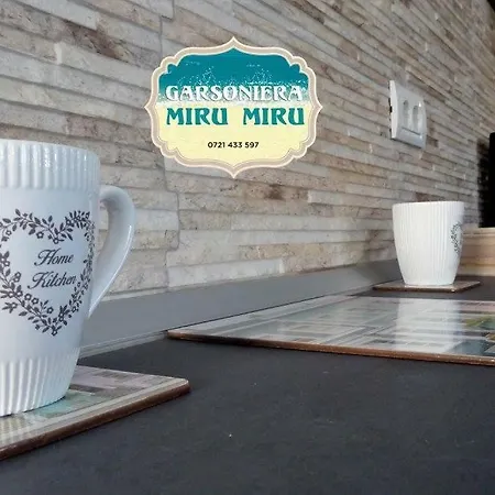 アパート Garsoniera Miru Miru