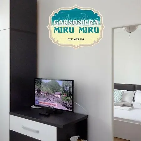 Garsoniera Miru Miru